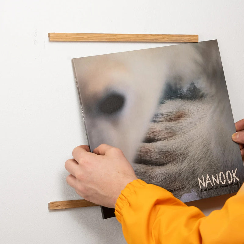 Record Wall Mount