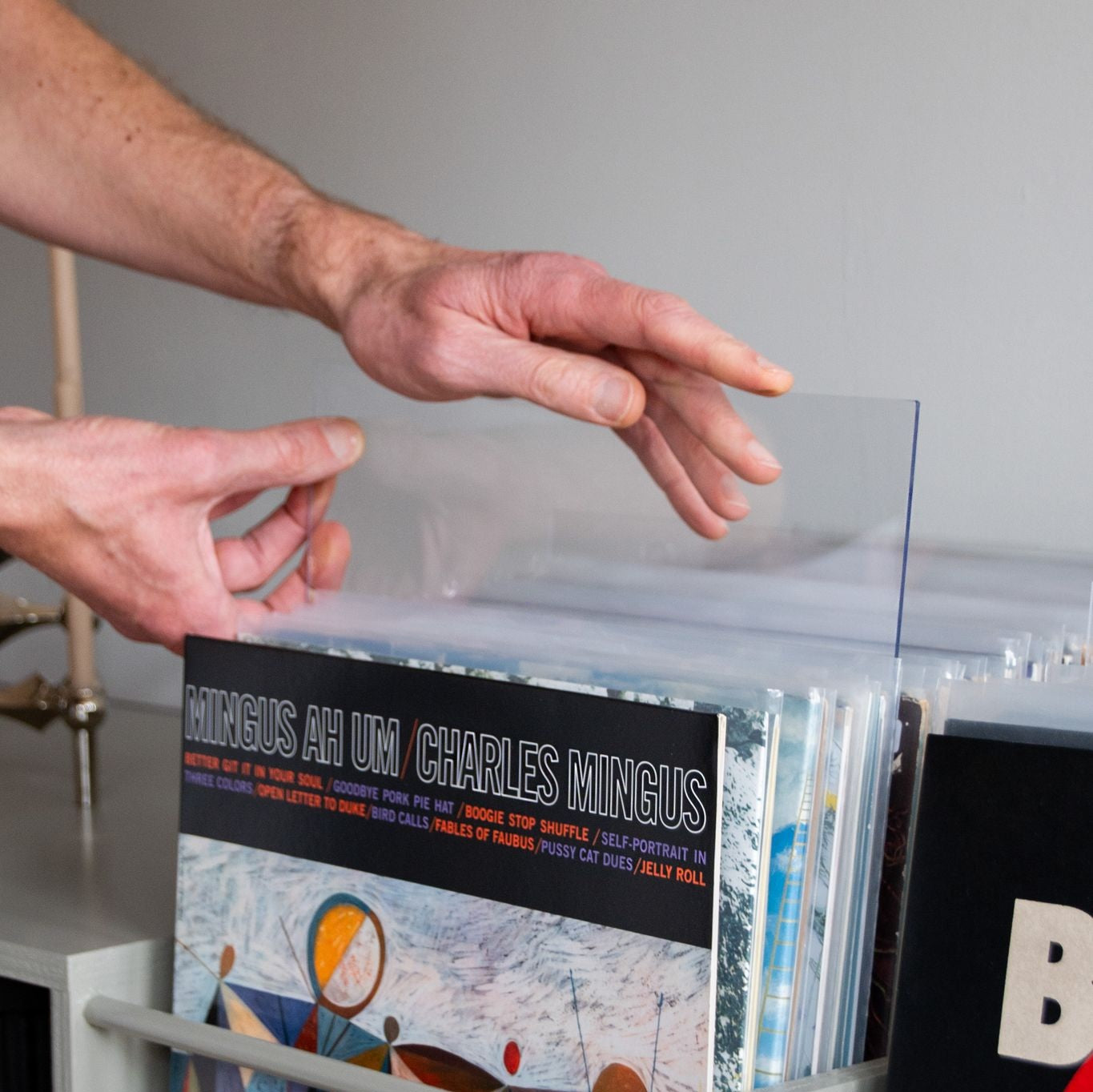 Plexiglas voor vinylplaten – houdt huisdieren uit de buurt van LP-opslag