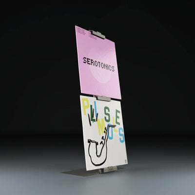 Platenhouder incl. voet - Display LP-02